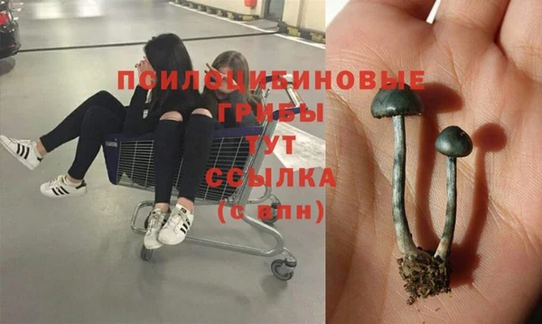 экстази Беломорск