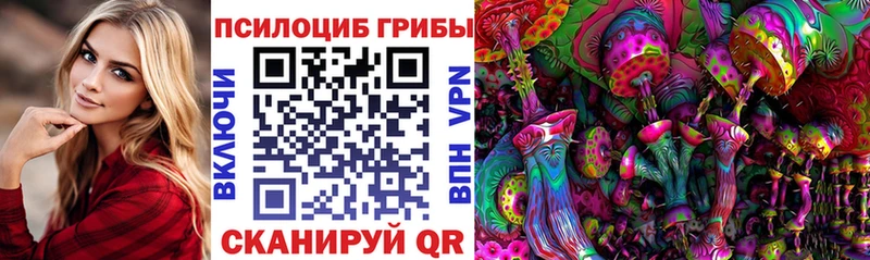 Галлюциногенные грибы Magic Shrooms  наркотики  Курлово 